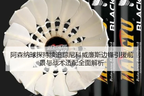 阿森纳球探持续追踪尼科威廉斯边锋引援前景与战术适配全面解析
